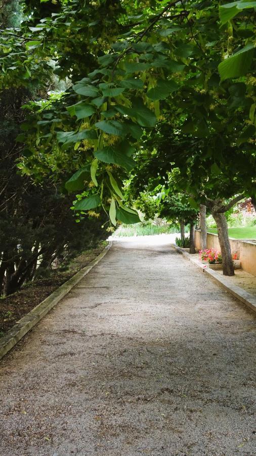 La Bastide Des Roses Bed & Breakfast Saint-Julien-d'Asse Eksteriør bilde