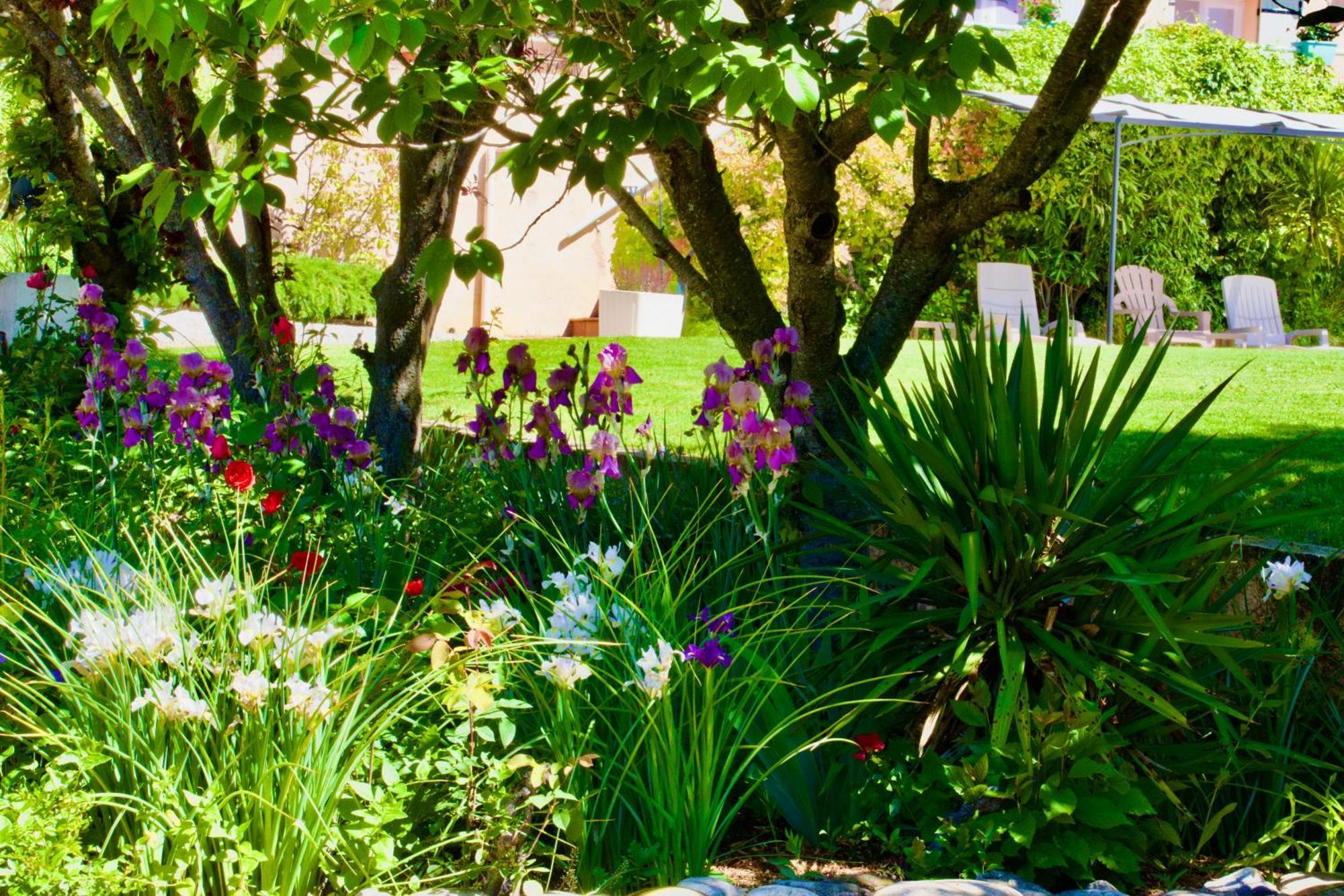 La Bastide Des Roses Bed & Breakfast Saint-Julien-d'Asse Eksteriør bilde