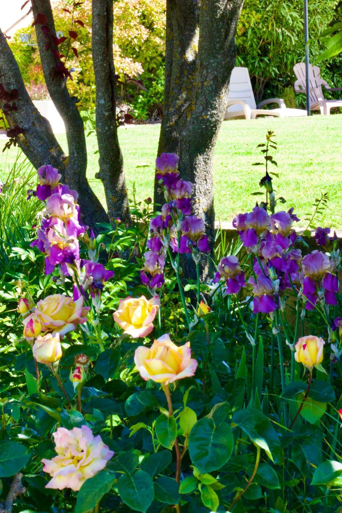 La Bastide Des Roses Bed & Breakfast Saint-Julien-d'Asse Eksteriør bilde