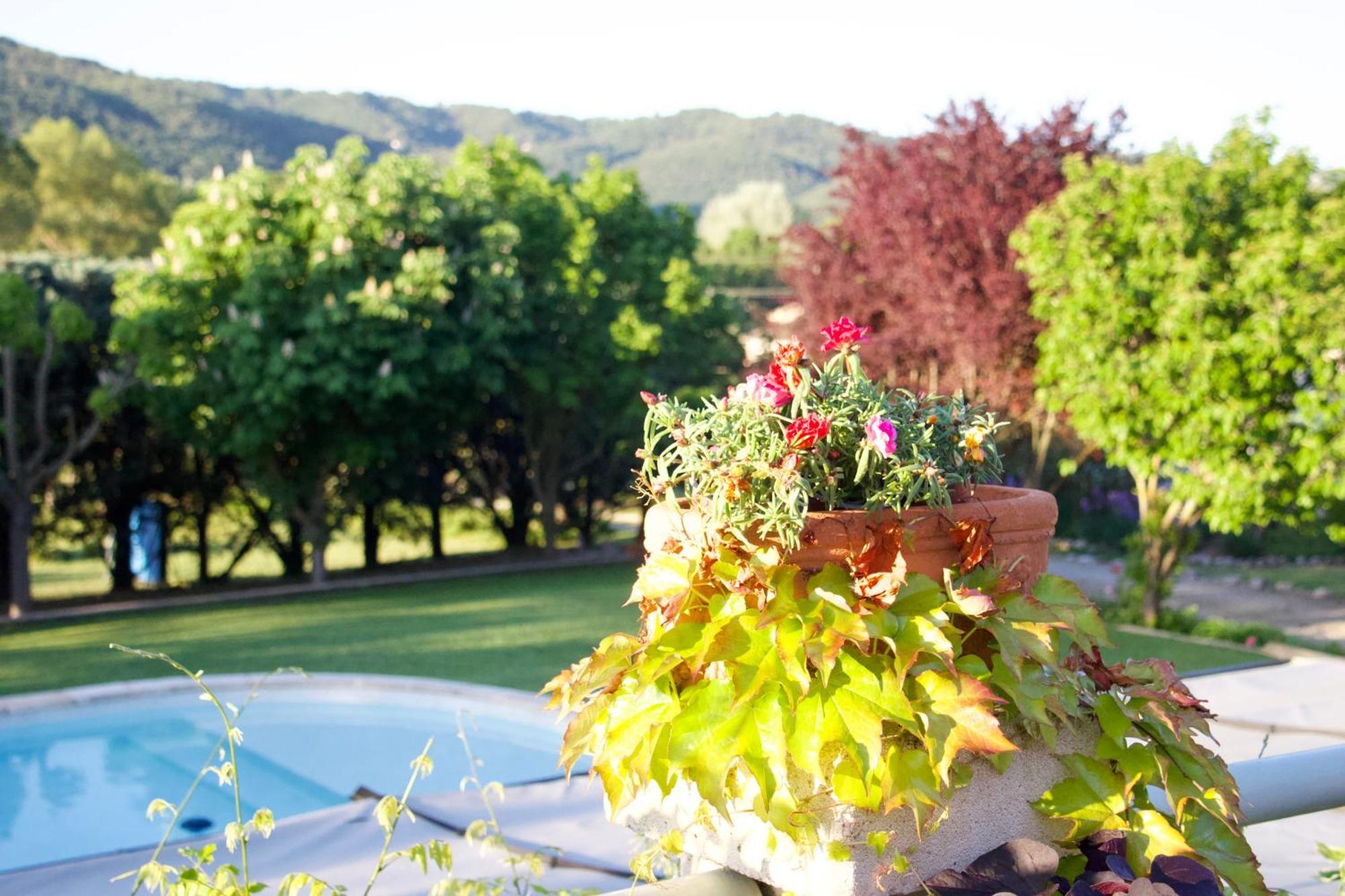 La Bastide Des Roses Bed & Breakfast Saint-Julien-d'Asse Eksteriør bilde